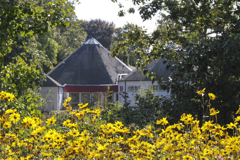 Her ses Tigerens Rede bagfra en smuk sommerdag med blomster